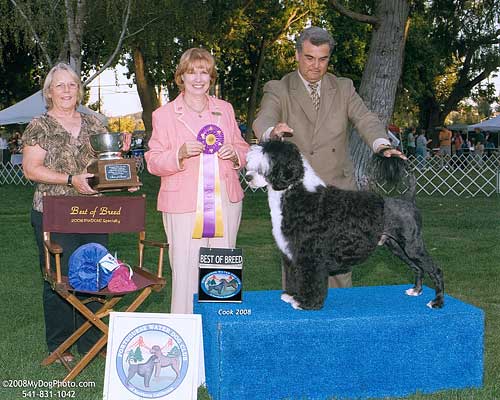 Lipton wins BISS at 2008 Northern California Specialty